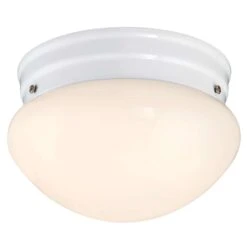 Westinghouse Polished Switch LED Light Fixture